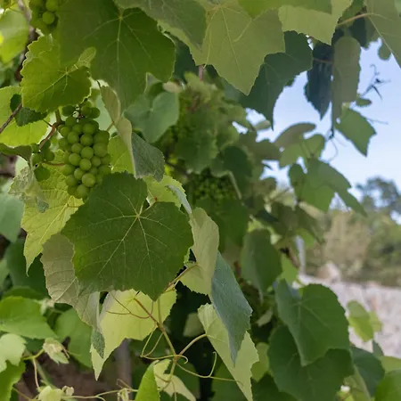 Serra * Marina Serra